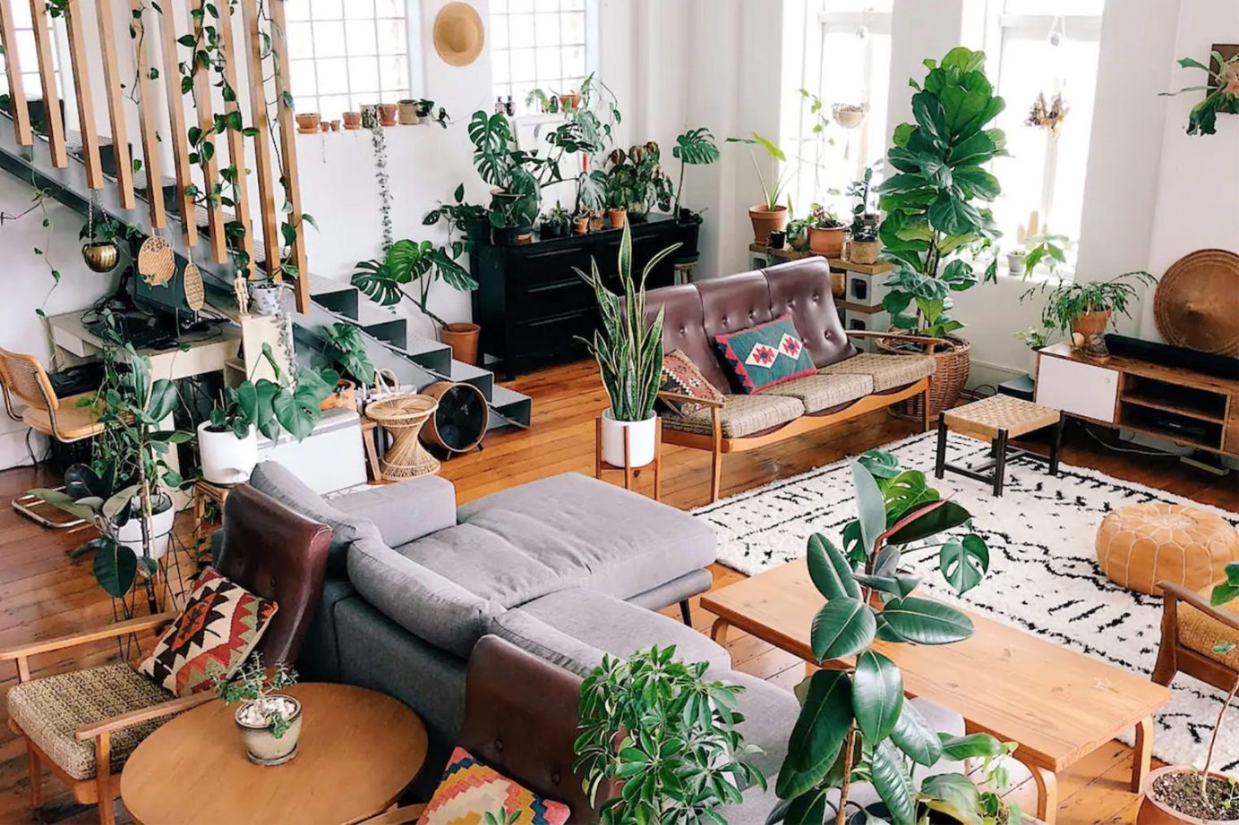 Amazing plant filled Airbnb in Auckland New Zealand