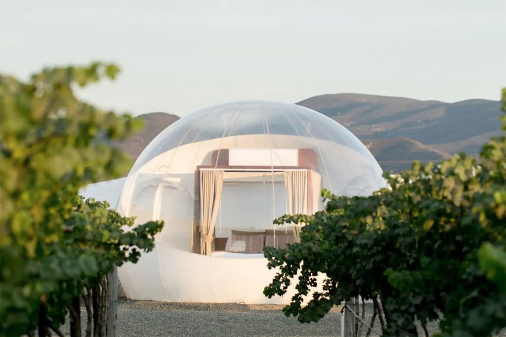 a bubble hotel in the middle of a mexican winery