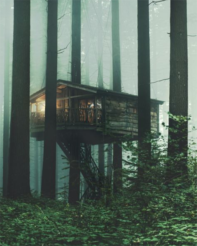 a treehouse sitting in the middle of a forest