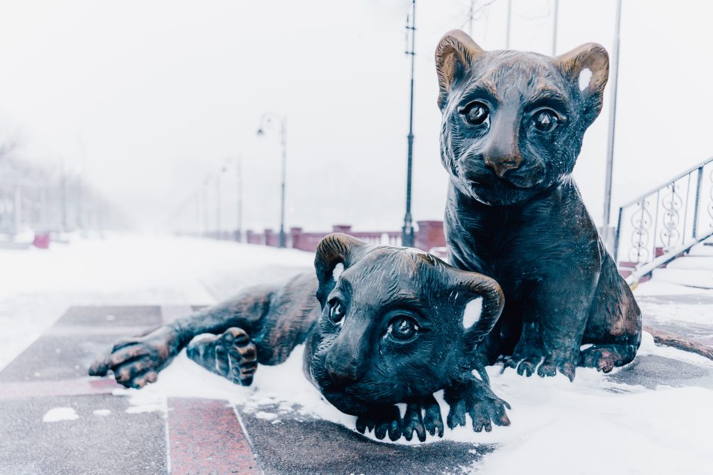 The tiger cub statues in Vladivostok