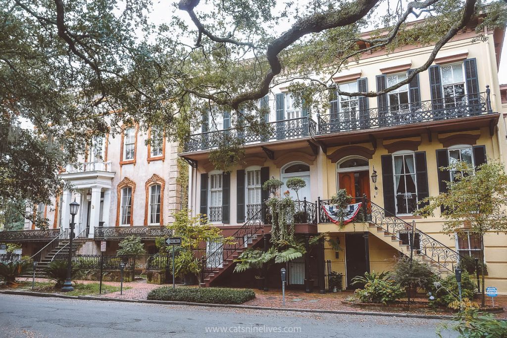 Historic houses with wooden shutters on one of Savannah's streets
