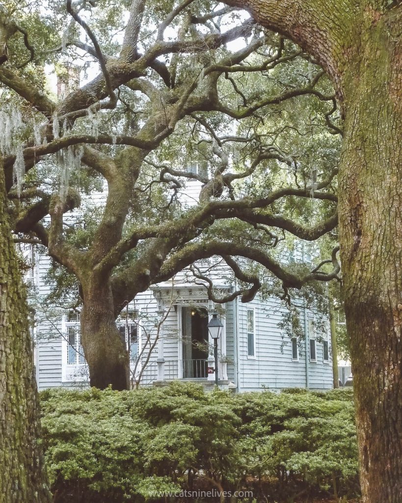 a blue wooden fronted house framed by oak tree branches in one of the squares in Savannah