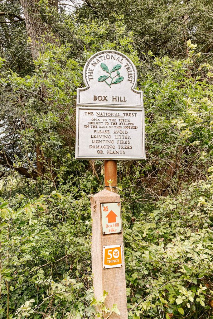 a sign saying box hill with the national trust emblem and a walking trail number