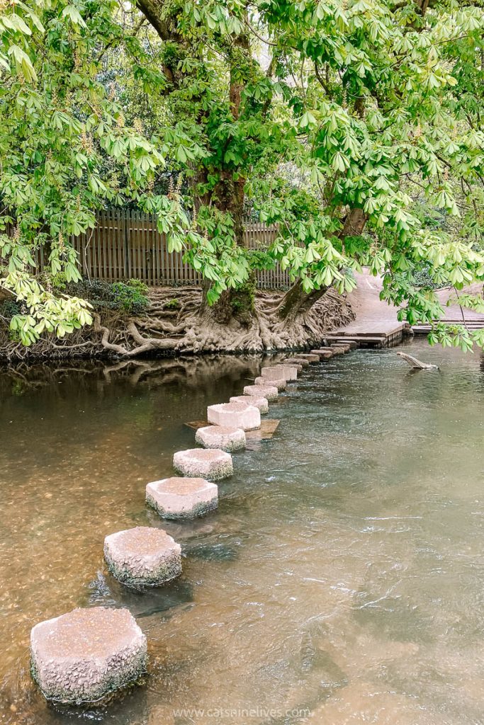 Stepping stones cross the River Mole near Box Hill in Surrey