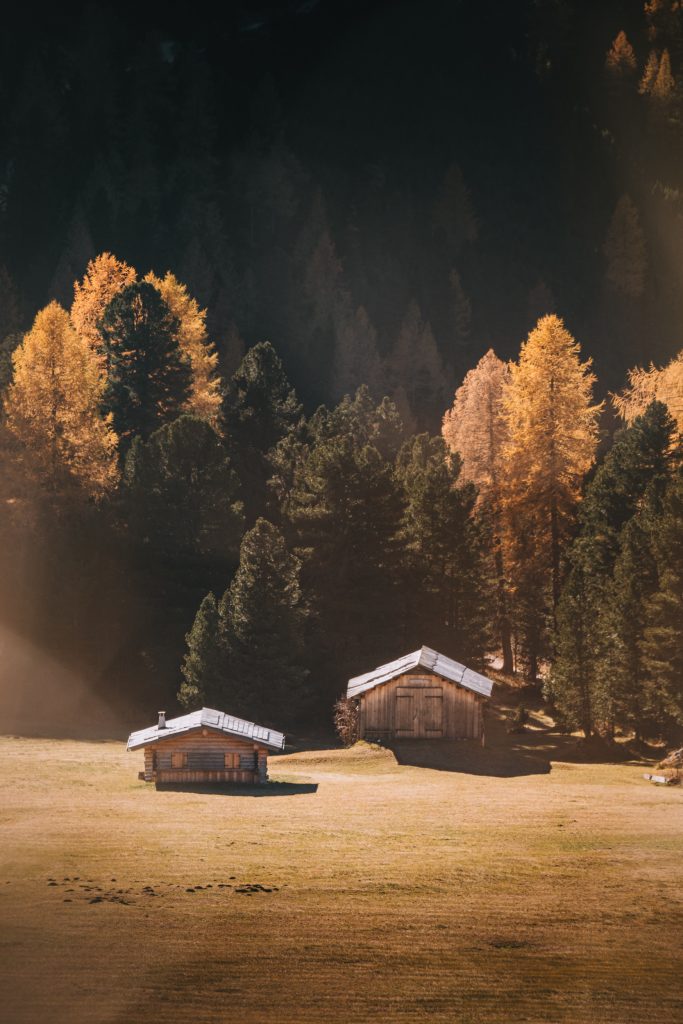 Two small wooden mountain huts sit in a sundrenched meadow with green and gold trees behind them in one of the locations visited on my Dolomites itinerary