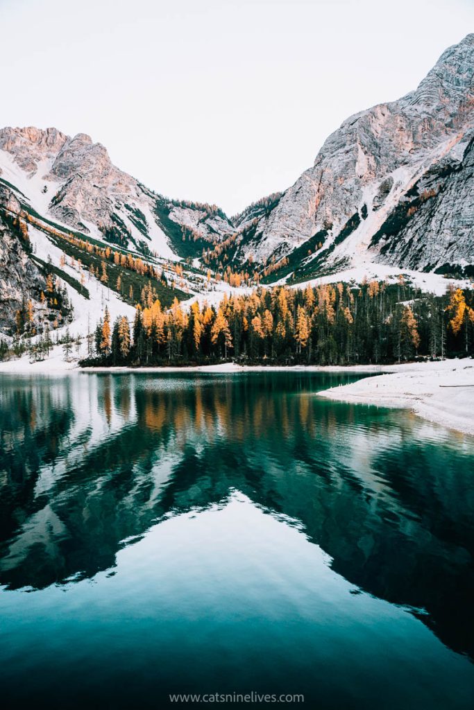 orange larch trees reflected in the still waters of lago di braies