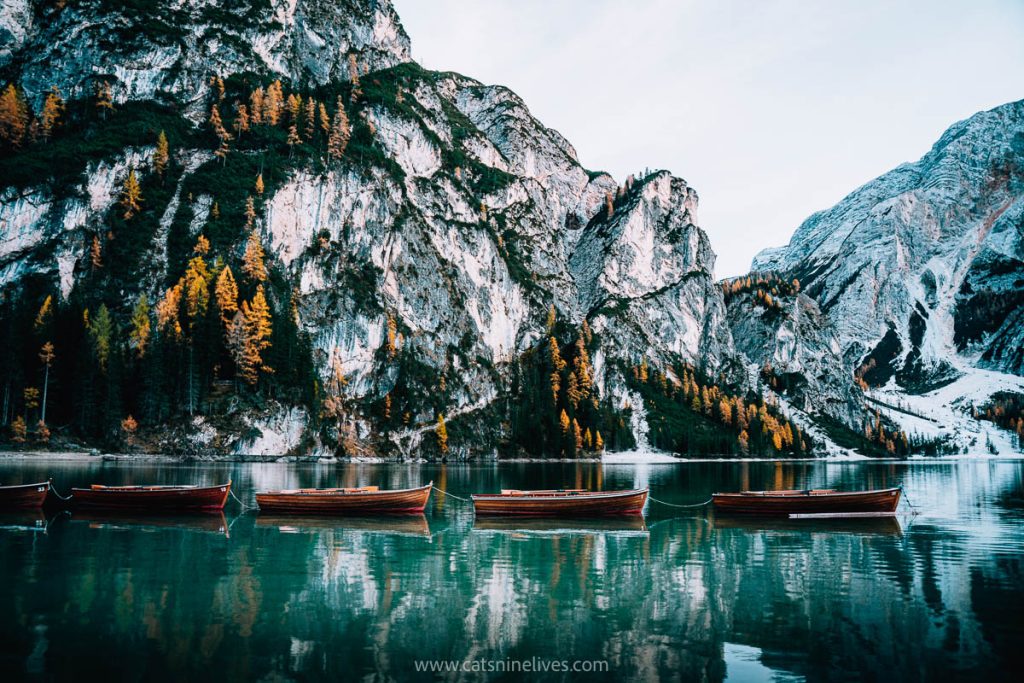 Wooden row boats drifting on the crystal clear Lago di Braies with grey mountain peaks and scattered orange and green larch trees
